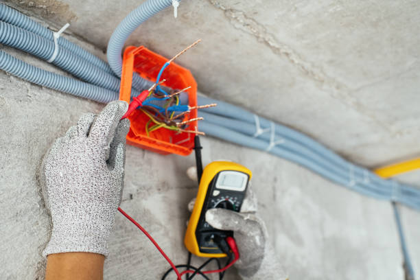 Best Electric Panel Repair  in Centerville, CA